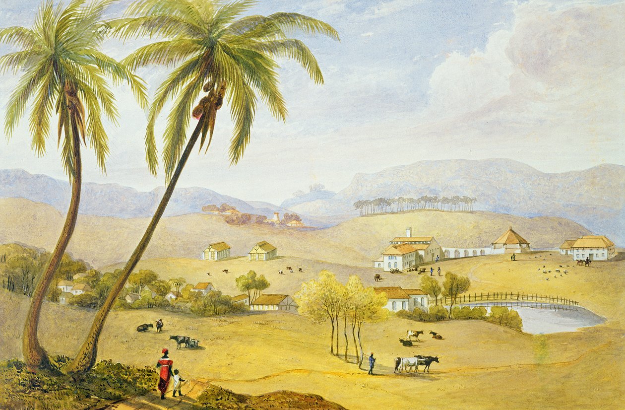 Haughton Court, Hanover, Jamaika, ca. 1820 von James Hakewill