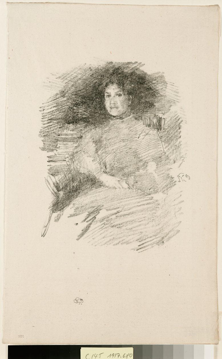 Feuerlicht von James McNeill Whistler
