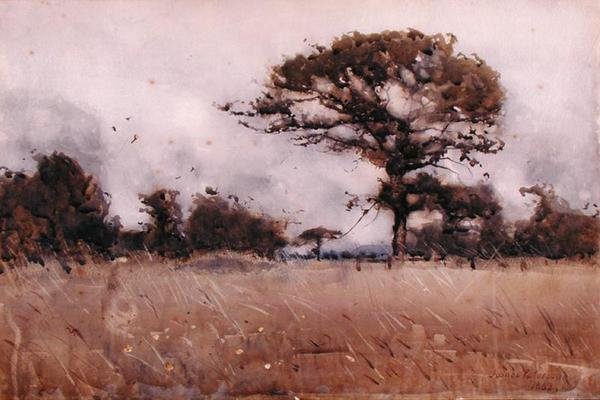 Wind von James Paterson