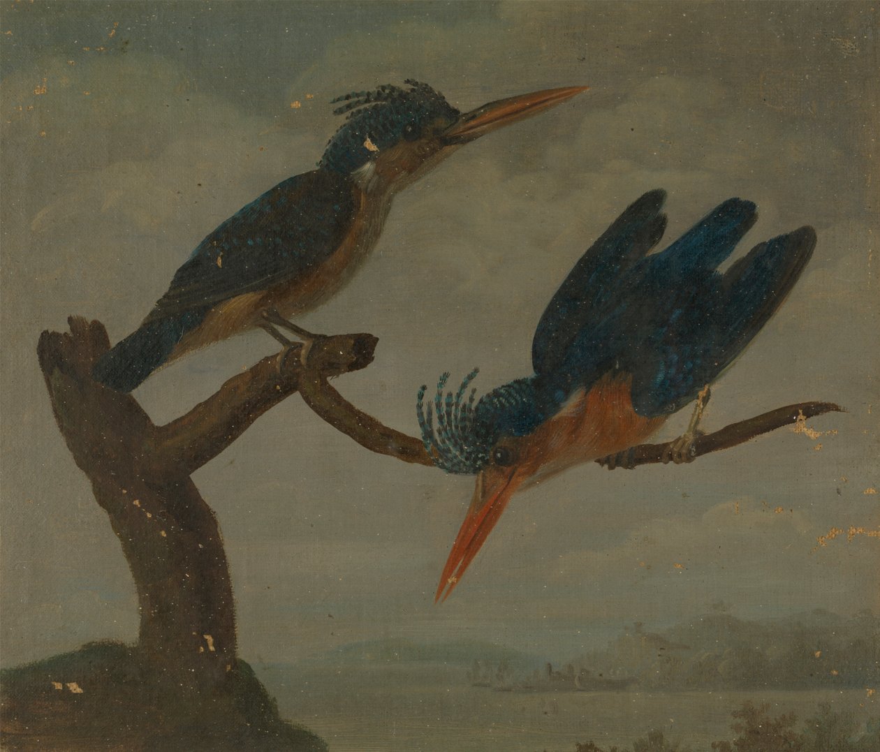 Zwei Eisvögel an einem See von James Sowerby