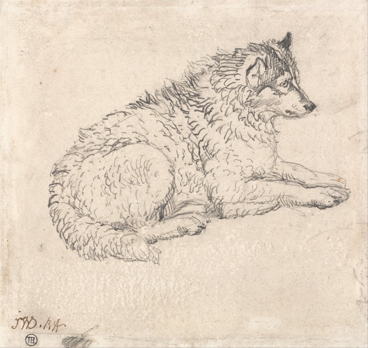 Arktischer Hund, nach rechts blickend von James Ward