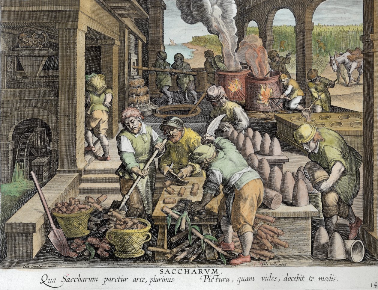 Eine Zuckermühle und die Herstellung von Zuckerhüten, Platte 14 aus 