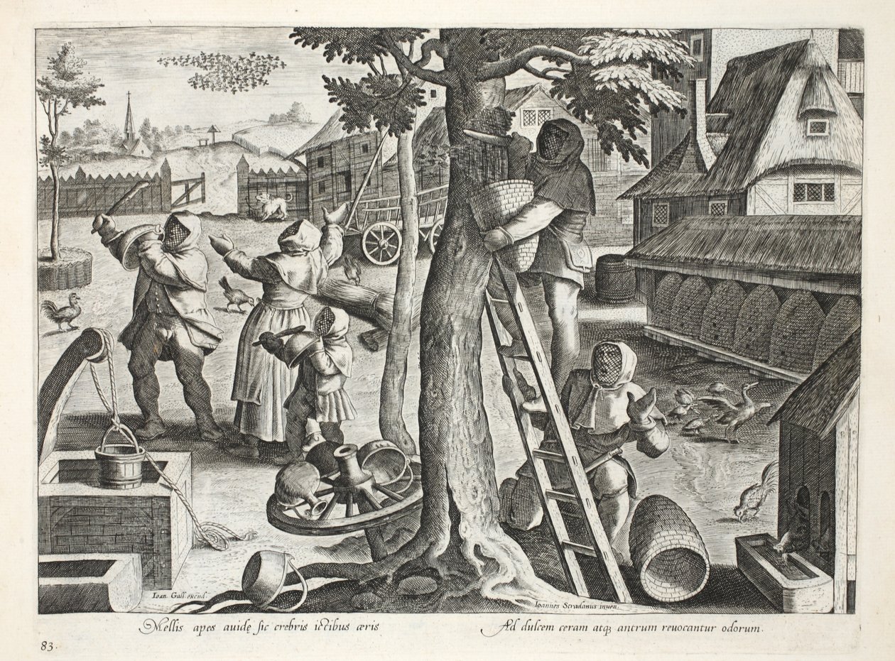Imker, Platte 83, Illustration aus 