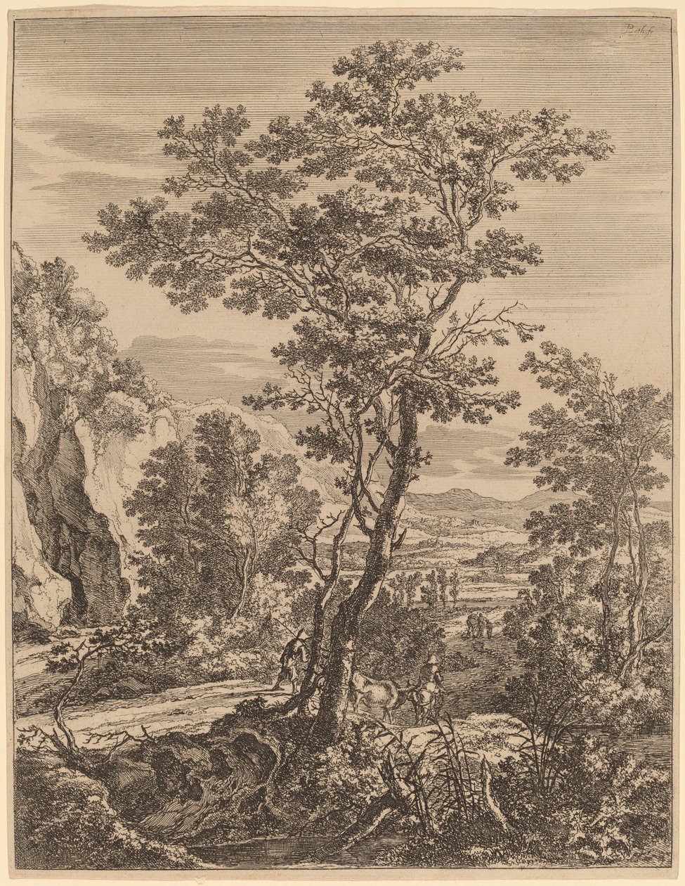 Der große Baum von Jan Both