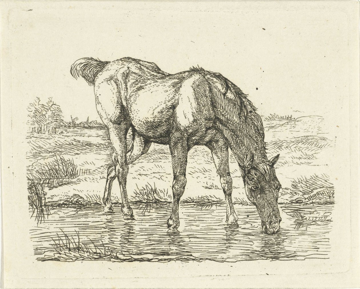 Trinkendes Pferd von Jan Dasveldt