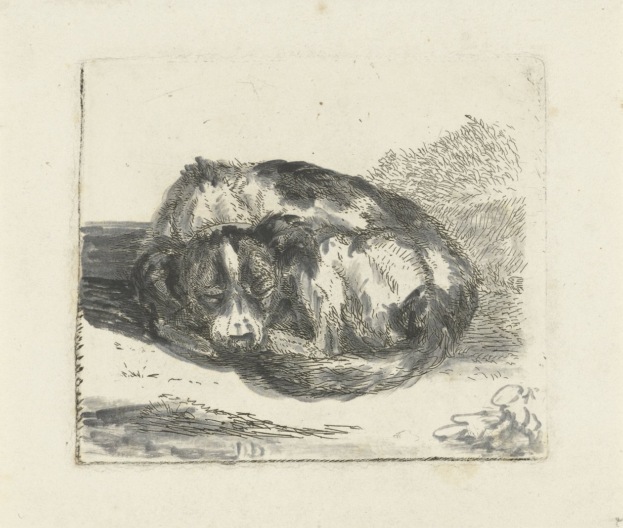 Schlafender Hund von Jan Dasveldt