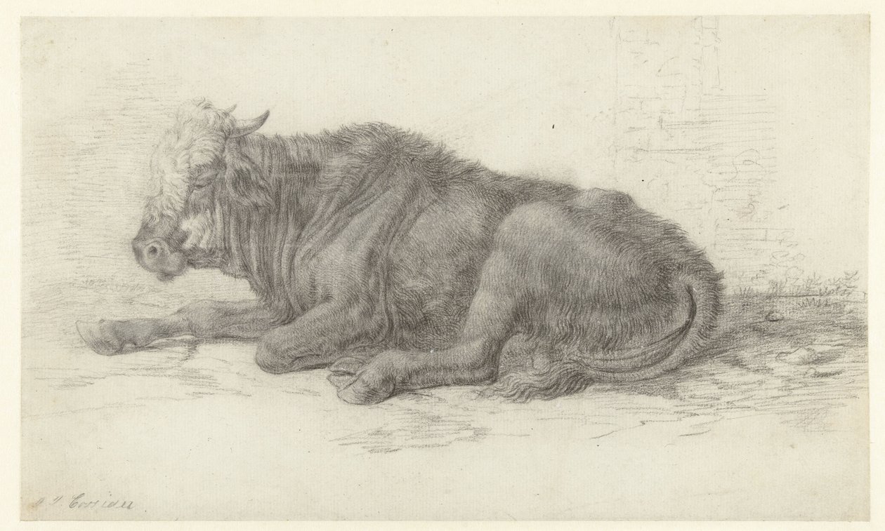 Liegende Kuh von Jan Joost van Cossiau