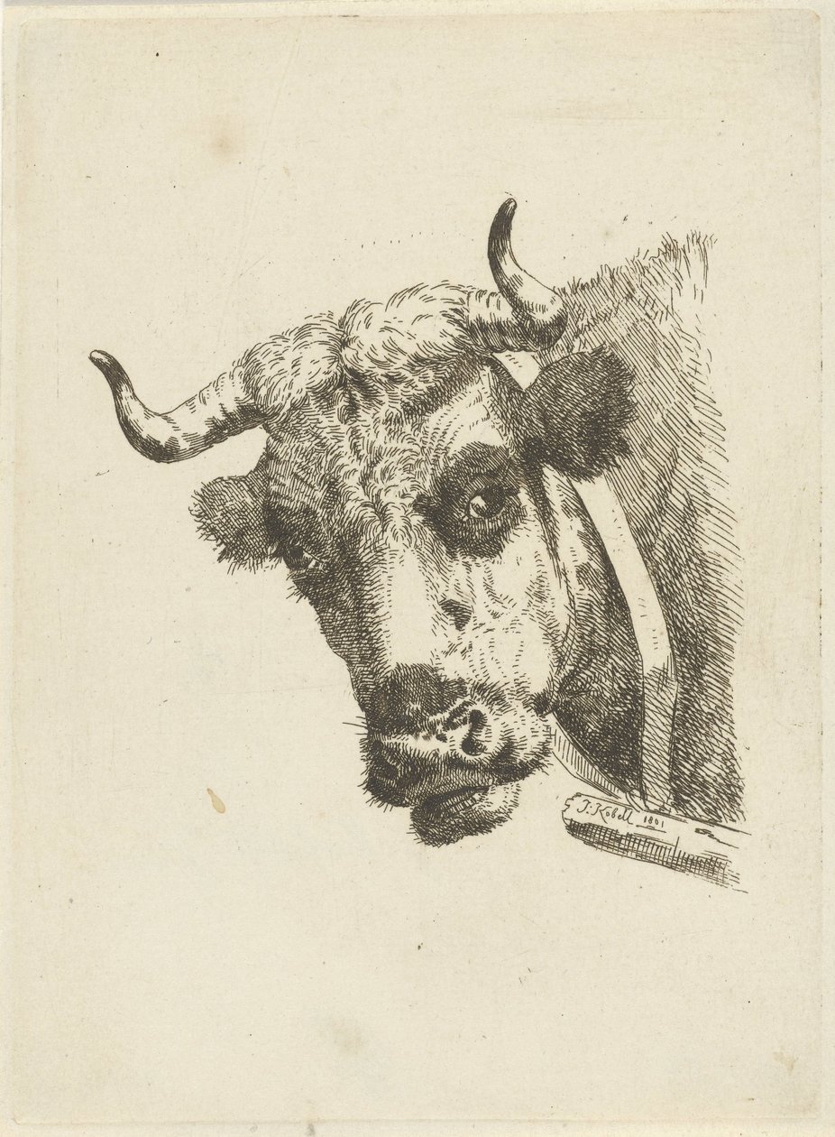 Kuhkopf von Jan Kobell (II)