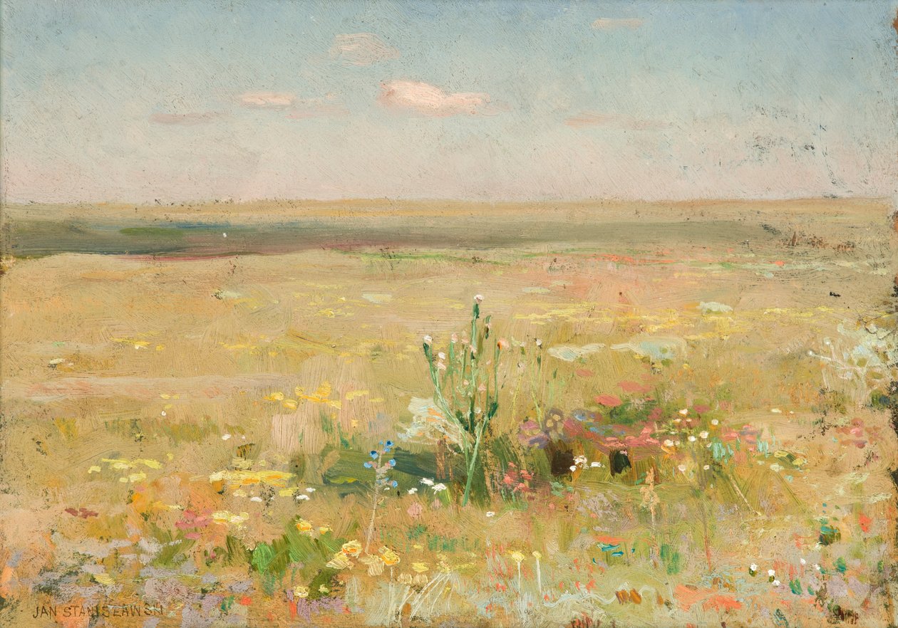 Steppe von Jan Stanislawski