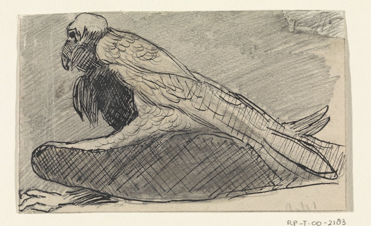 Sitzender Geier von Jan van Essen