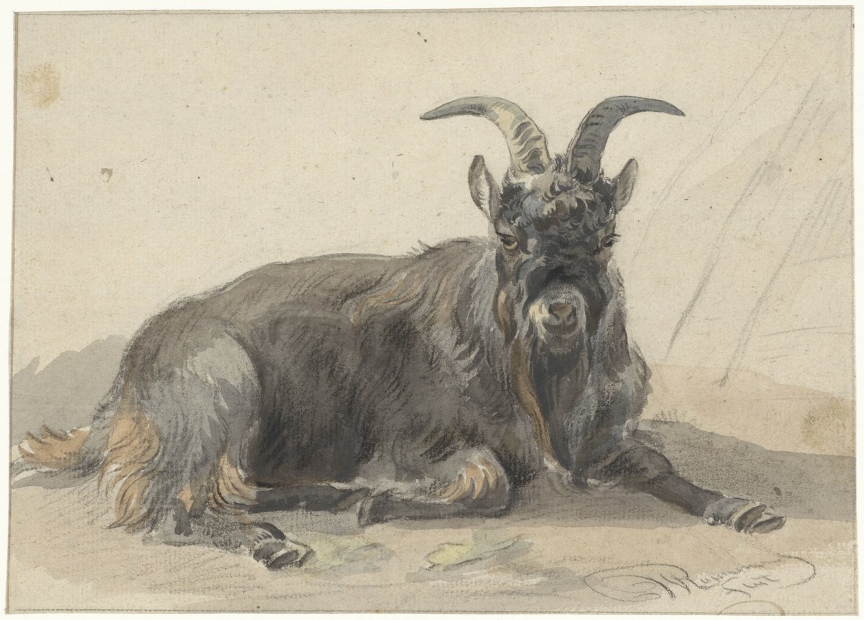 Liegender schwarzer Ziegenbock von Jan van Ravenswaay