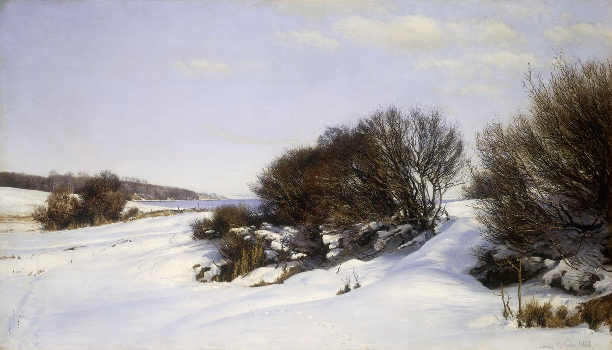 Winter am Meer, 1888 von Janus La Cour
