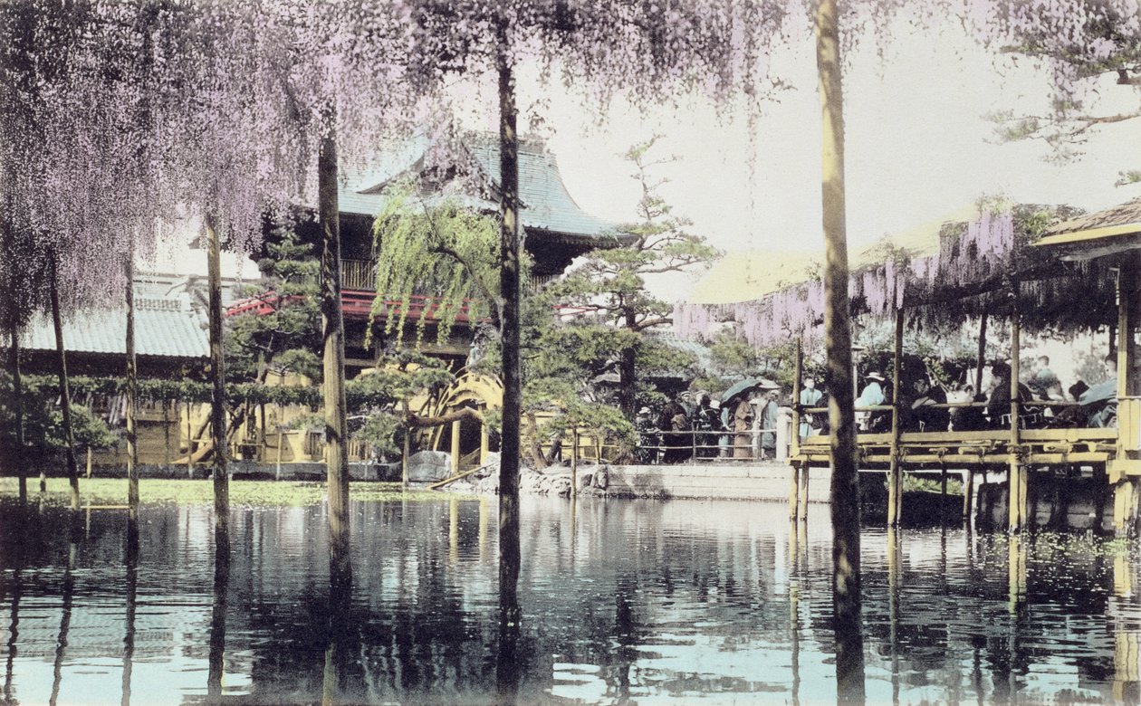 Blauregenblüte über dem Teich in den Kameido-Tempelgärten, Tokio, späte 19. Jahrhundert von Japanese Photographer