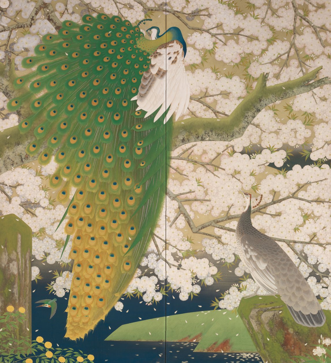 Pfauen und Kirschbaum von Japanese School
