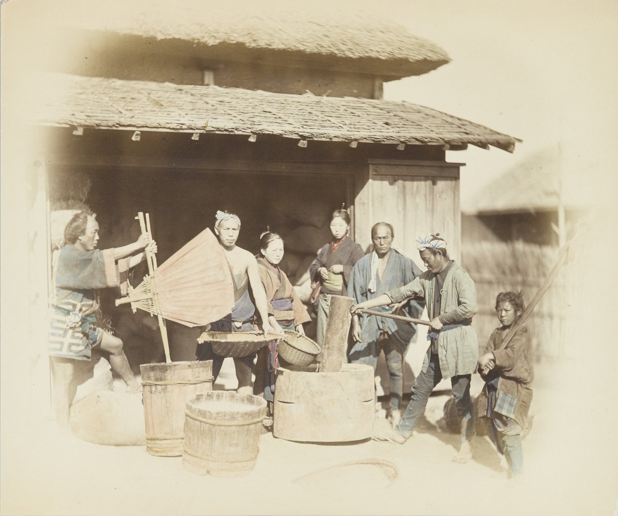 Reisentspelzen in Japan von Japanese Photographer