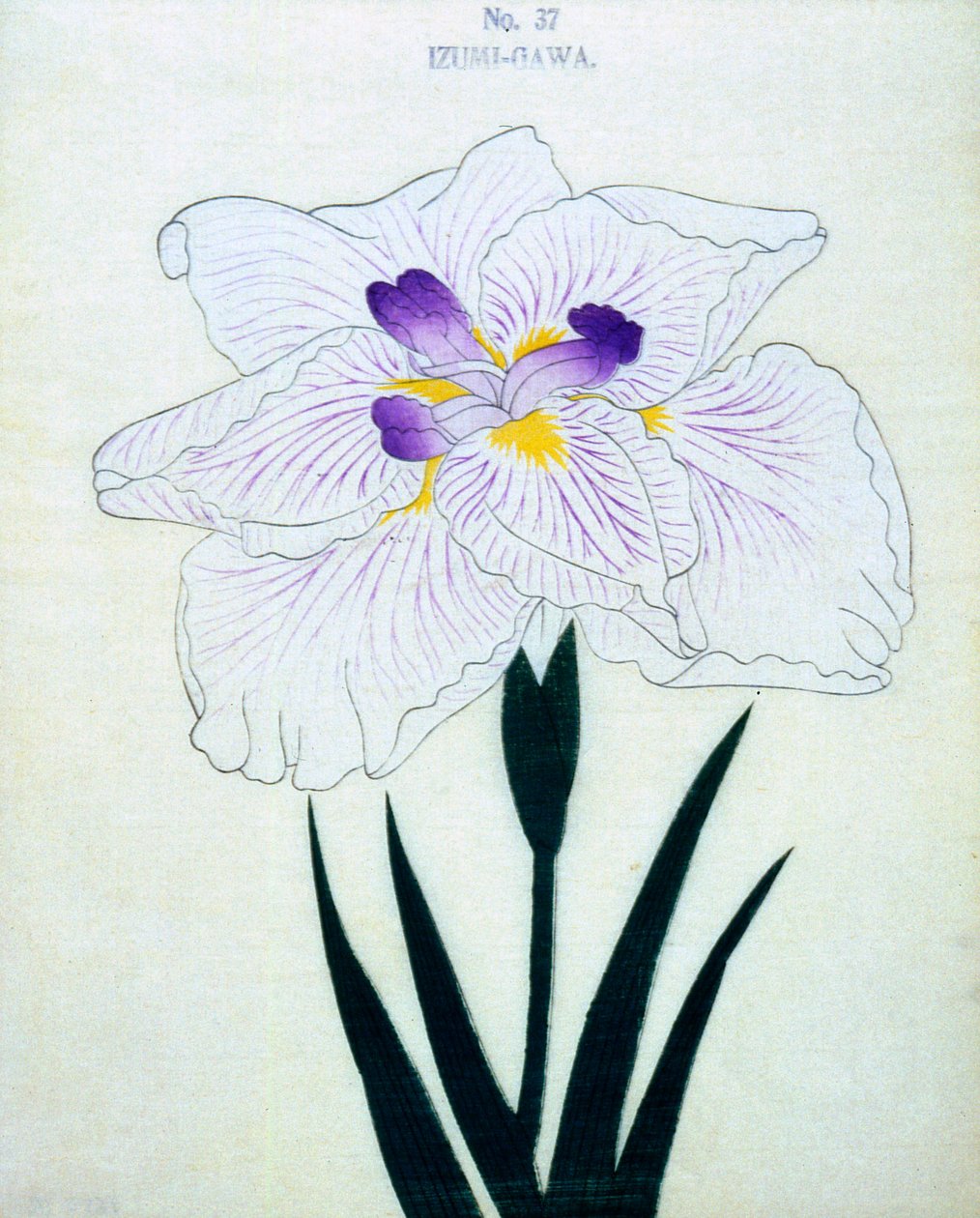 Izumi-Gawa, Nr. 37, 1898 von Japanese School