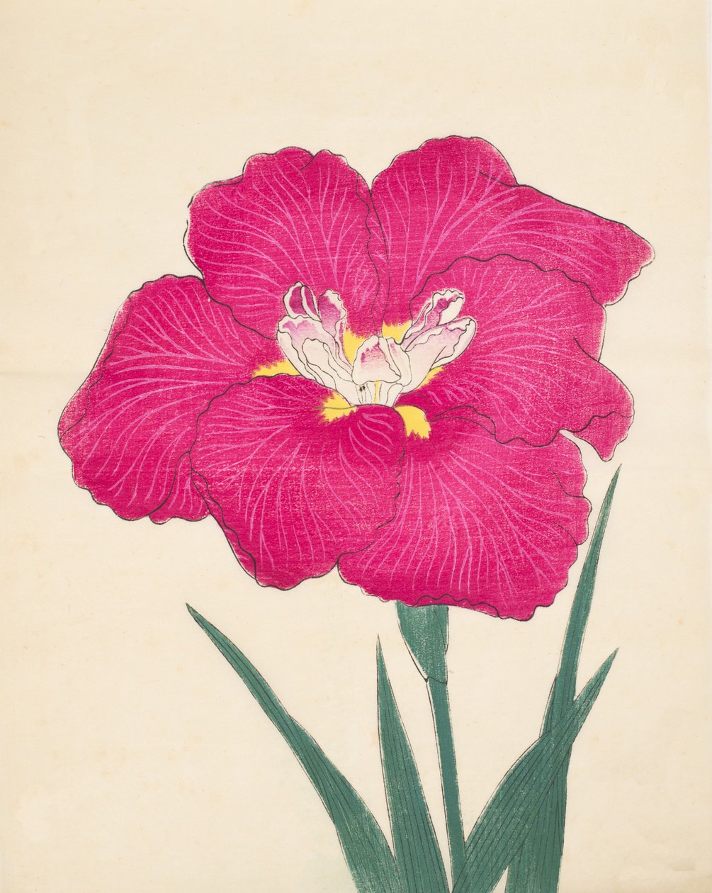 Kagari-Bi, Nr. 38, 1890 von Japanese School