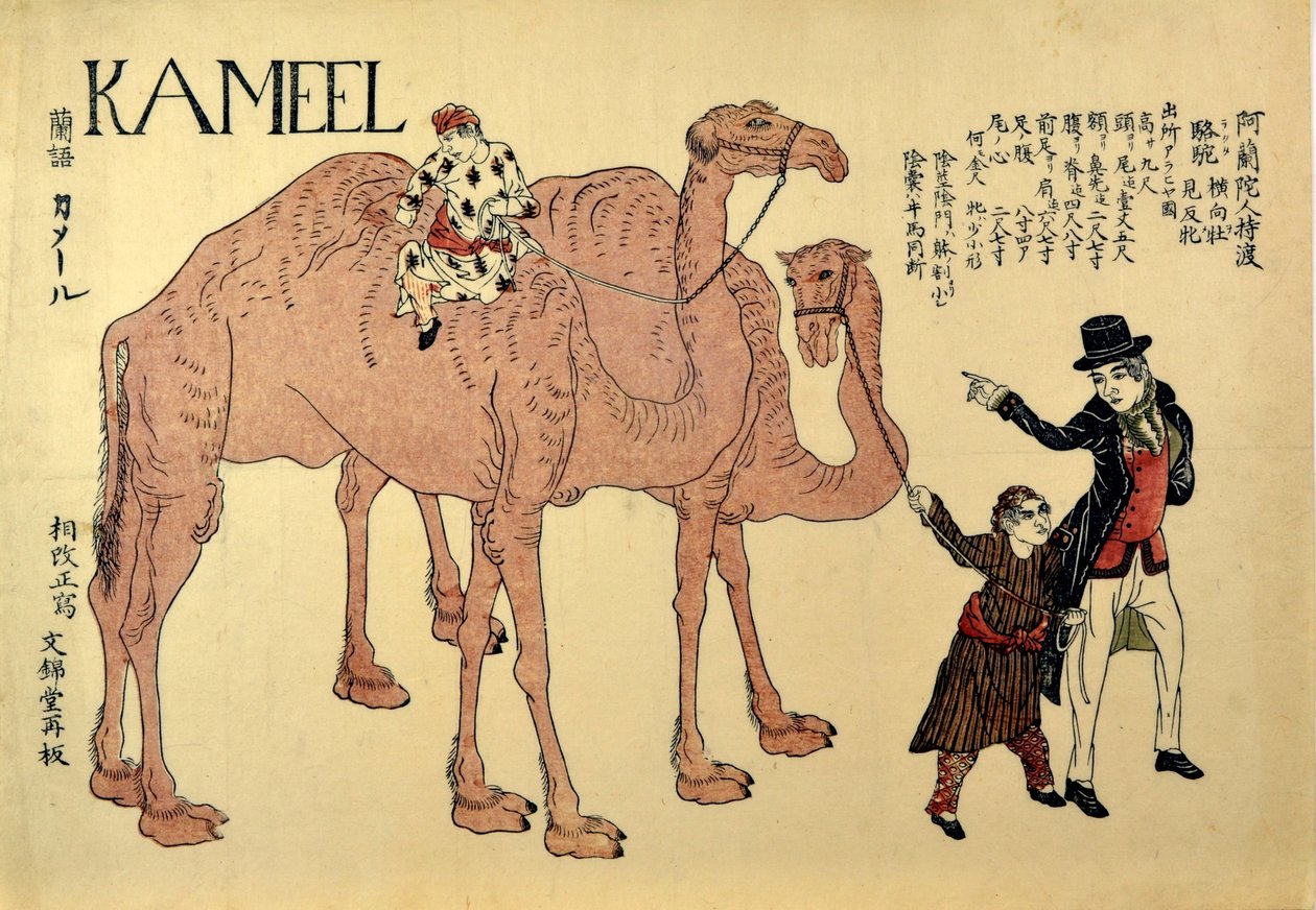 Kameel, veröffentlicht 1821 von Japanese School