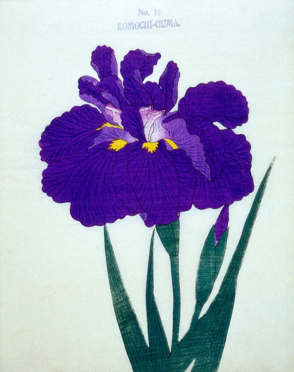 Komochi-Guma Nr. 14, 1898 von Japanese School
