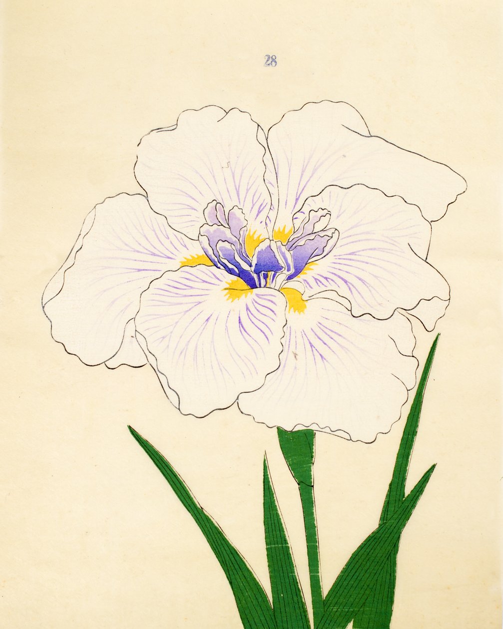 Manu-Zuru, Nr. 28, 1890 von Japanese School