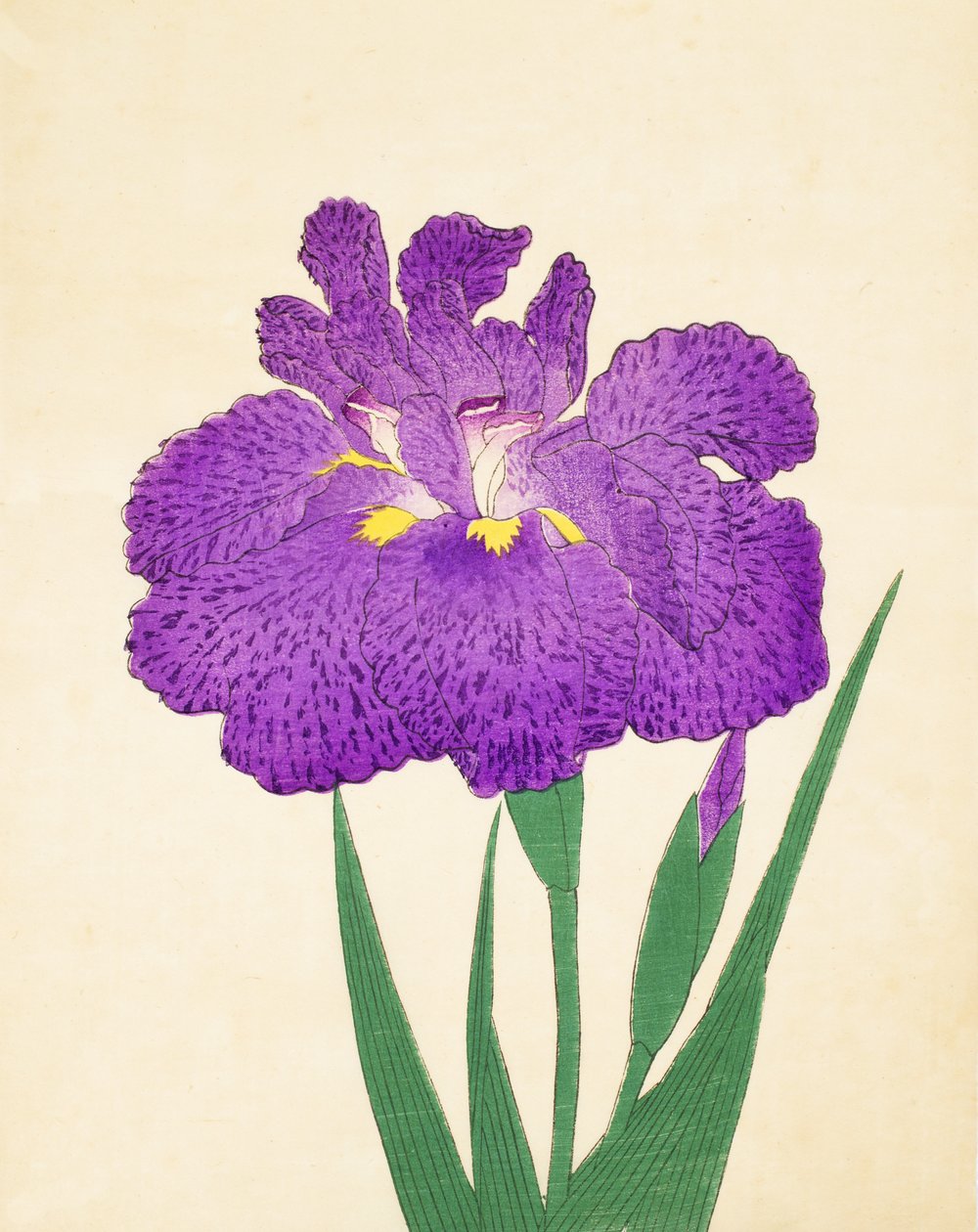 Nyo-Nishiki, Nr. 11, 1898 von Japanese School