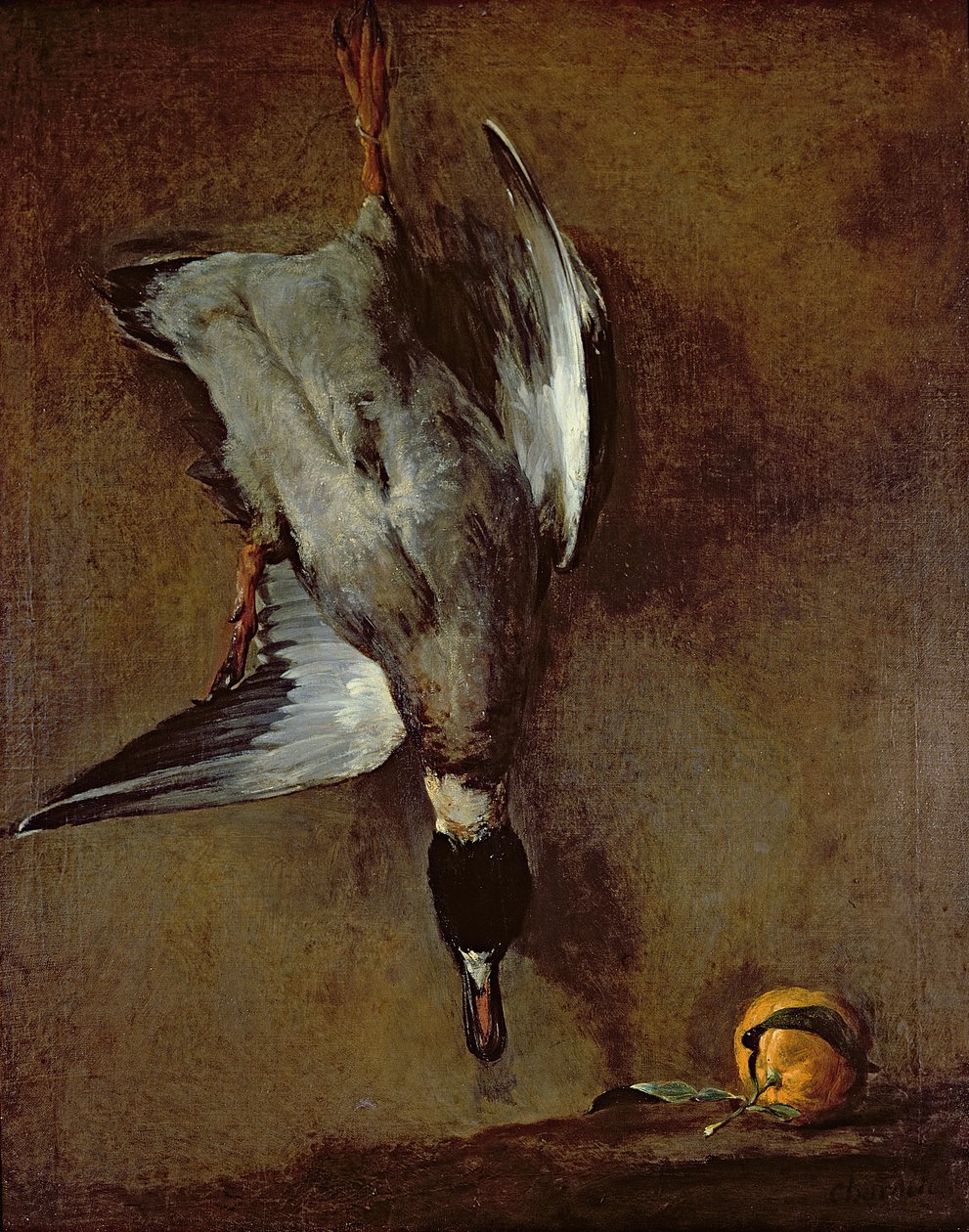Eine Stockente an der Wand mit einer Sevilla-Orange, 1720-30 von Jean Baptiste Simeon Chardin