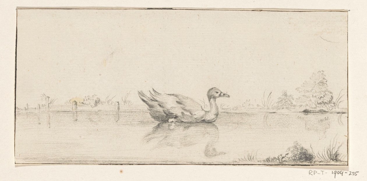 Ente im Wasser von Jean Bernard