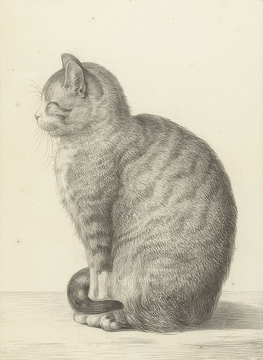 Sitzende Katze, nach links von Jean Bernard