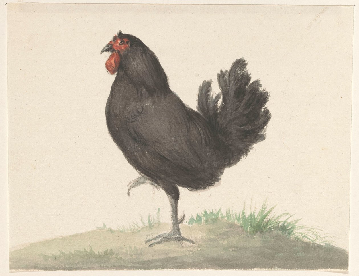 Stehendes schwarzes Huhn von Jean Bernard