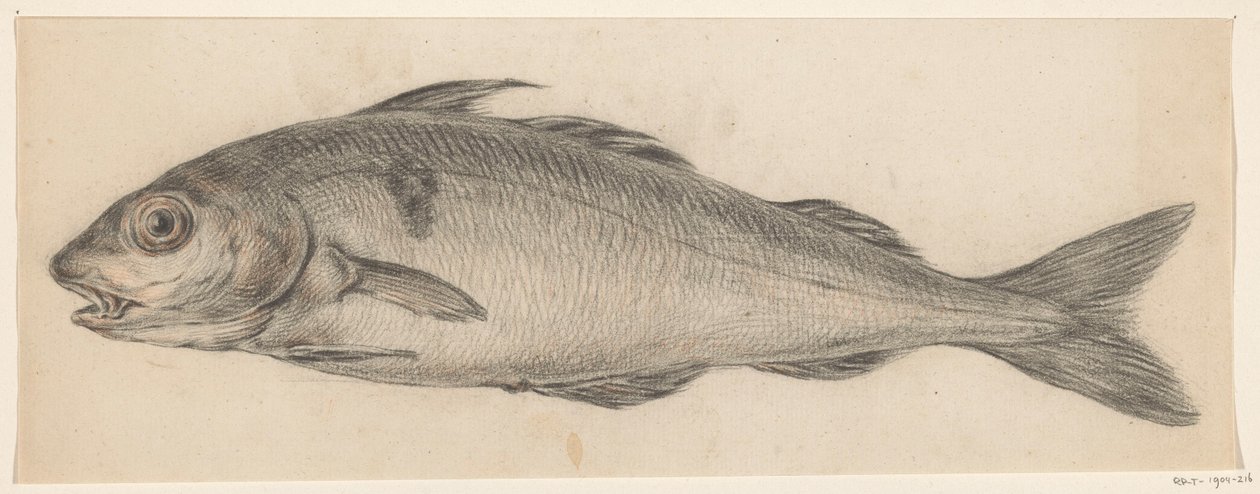 Fisch, nach links von Jean Bernard
