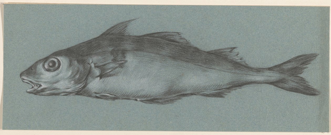 Fisch, nach links von Jean Bernard