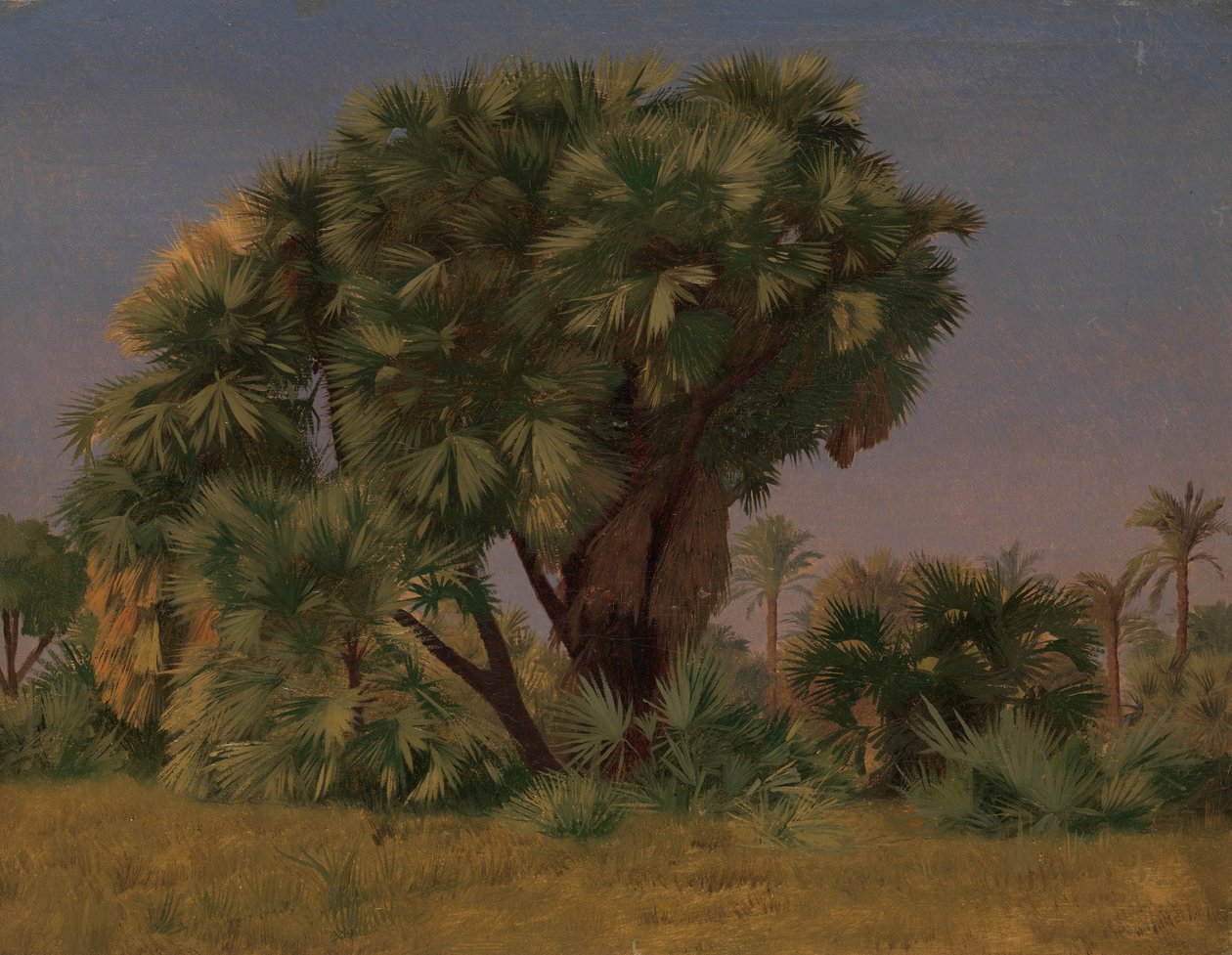 Studie von Palmen von Jean Leon Gerome