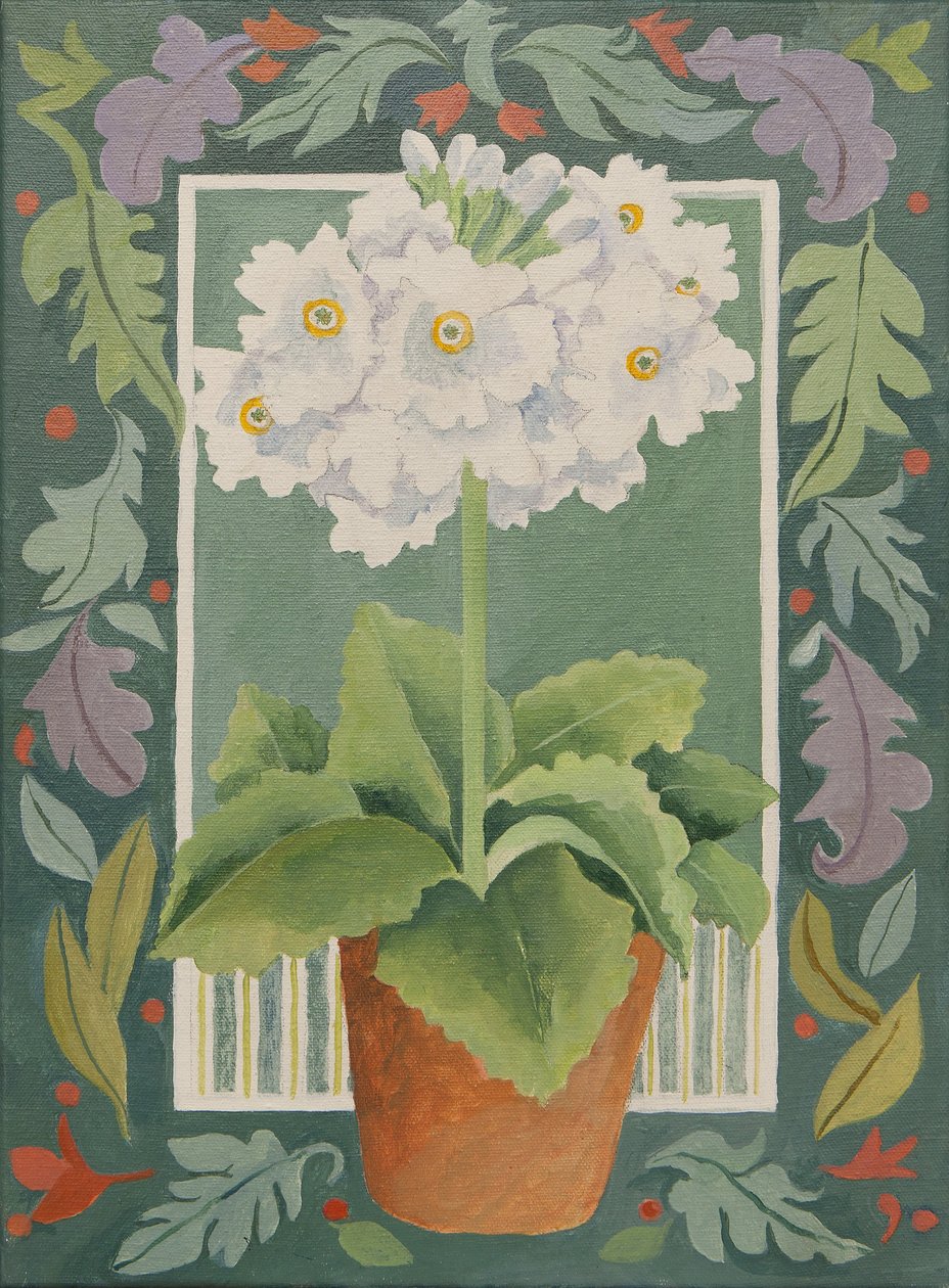Weiße Primel von Jennifer Abbott
