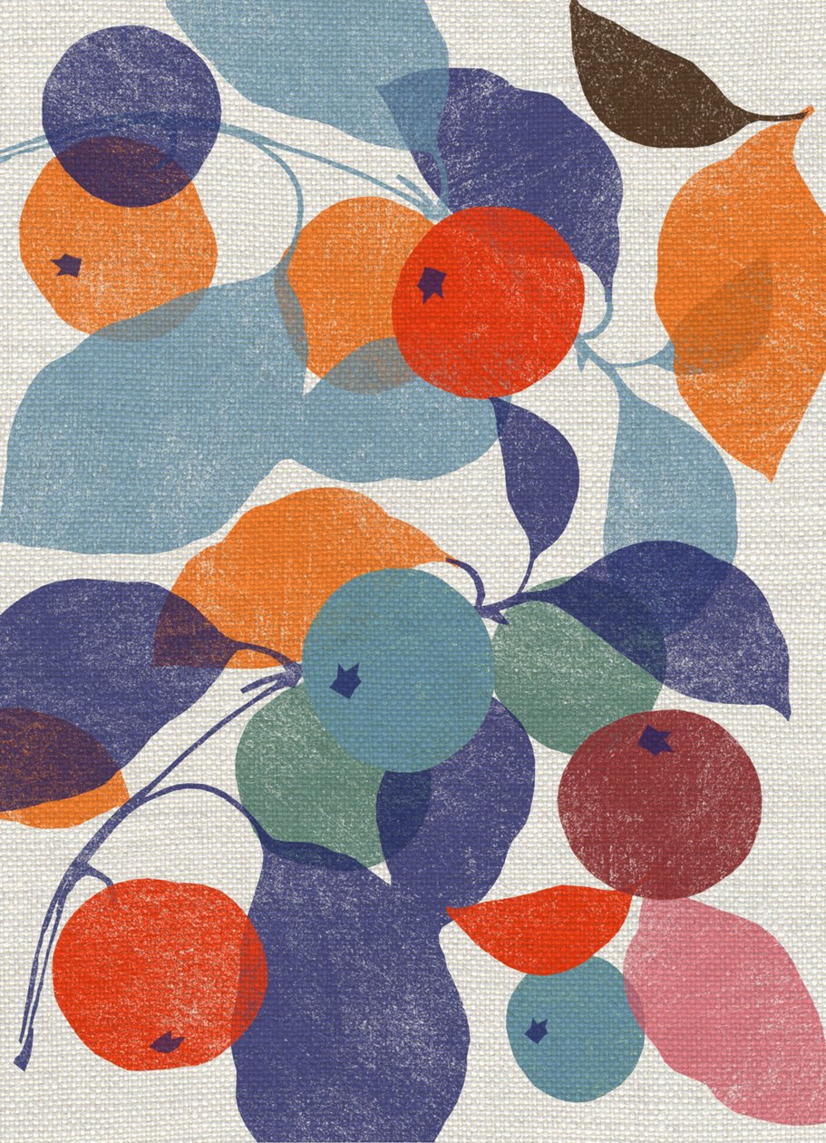 Gedruckte Äpfel von Jenny Frean