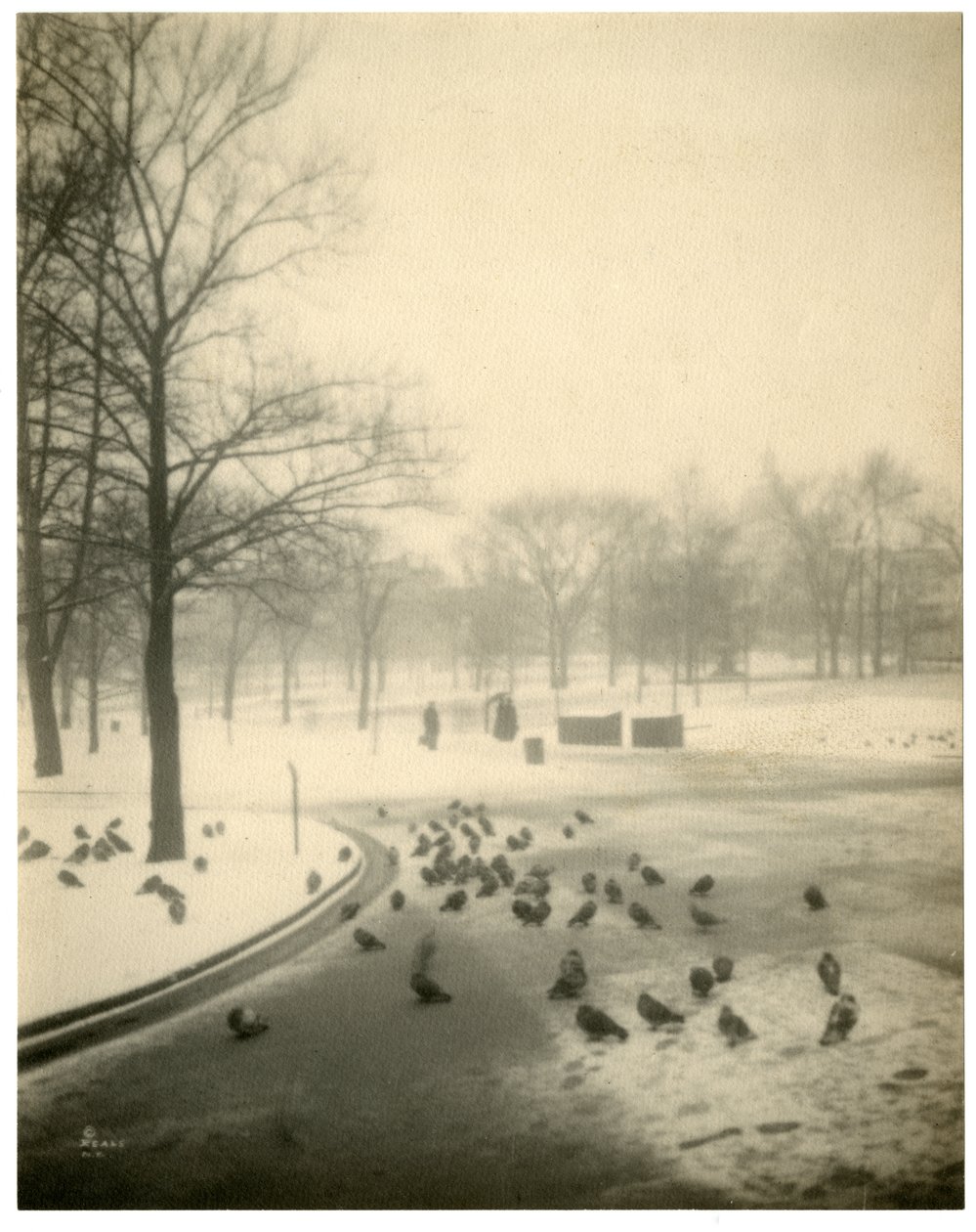 Boston Common, Boston, USA, ca. 1902-10 von Jessie Tarbox Beals