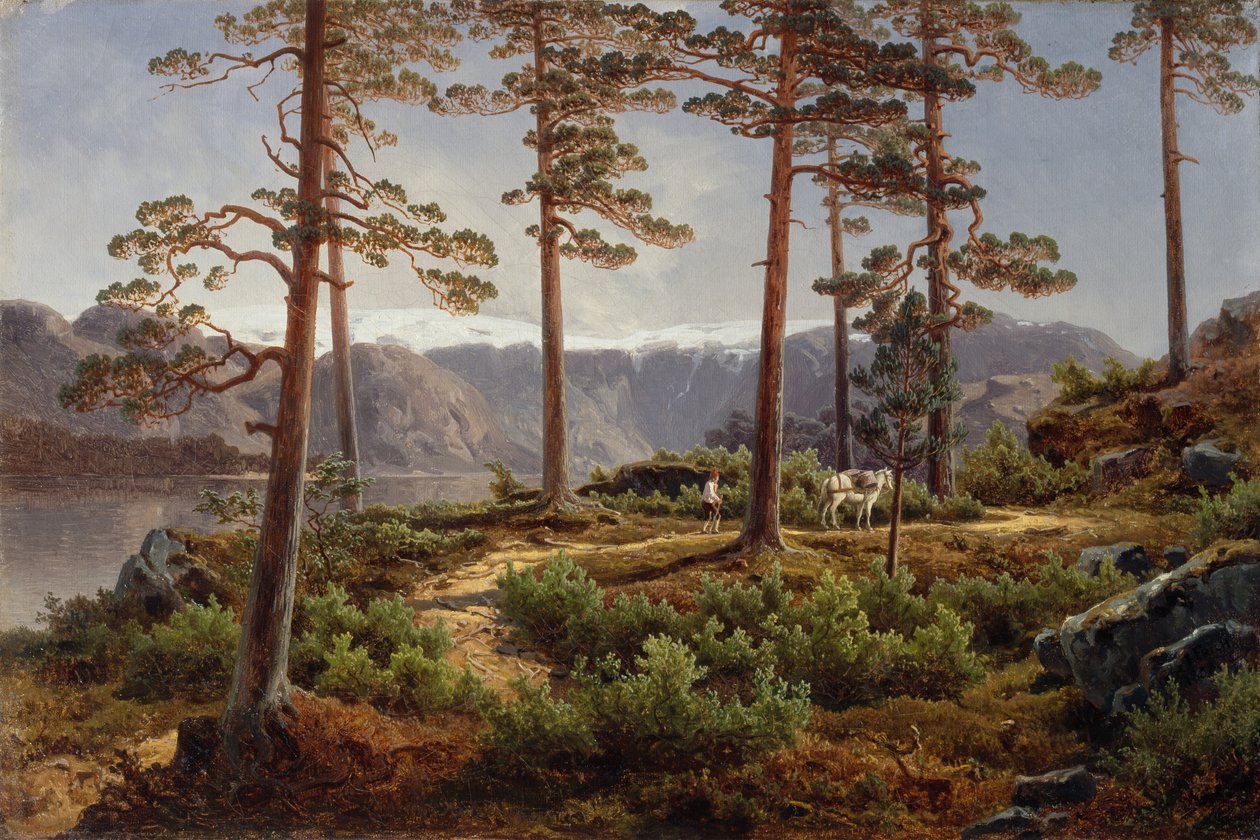 Hardanger von Joachim Frich
