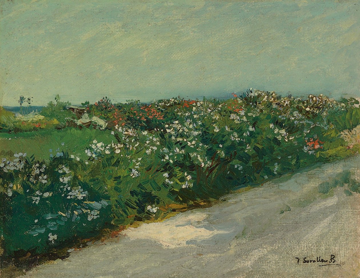 Malvarrosa von Joaquín Sorolla
