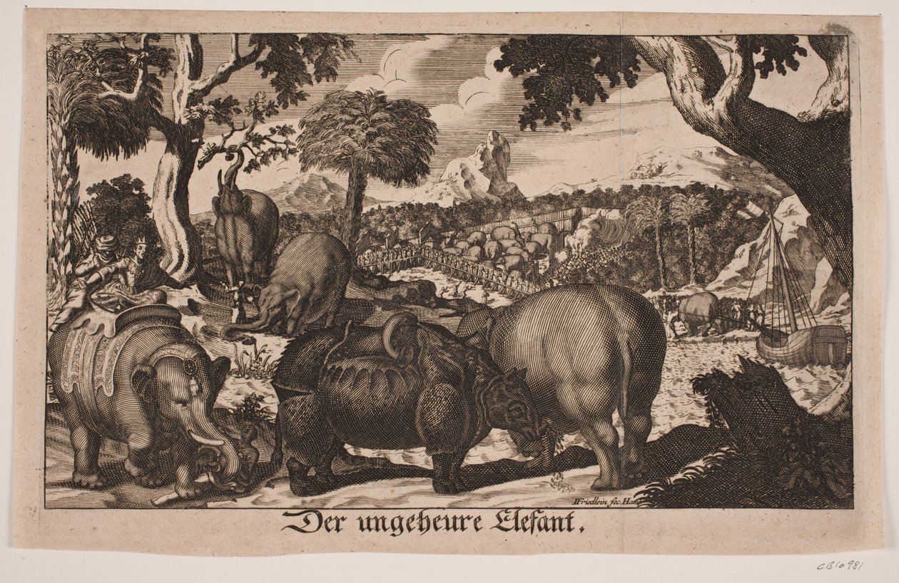Der ungeheure Elefant von Johan Friedlein