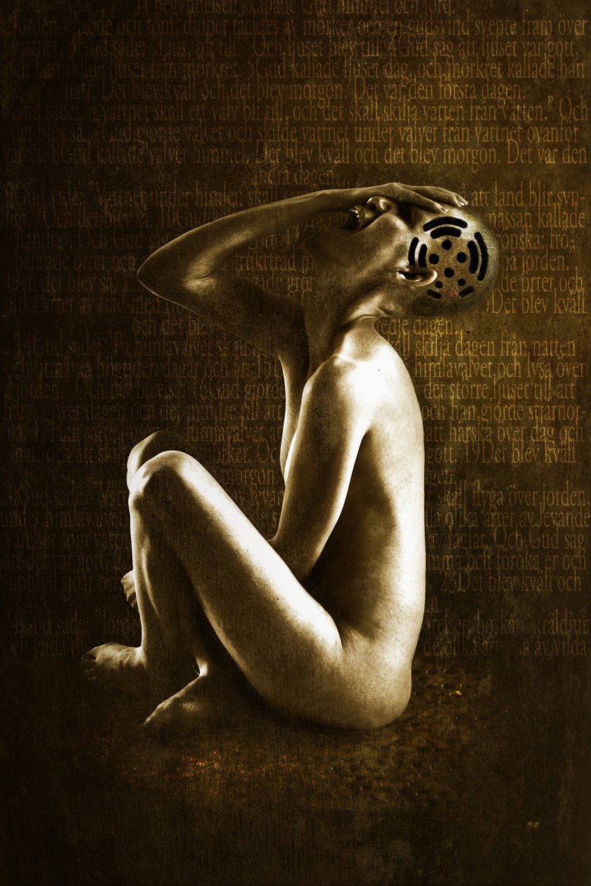 Schrei, 2013 von Johan Lilja