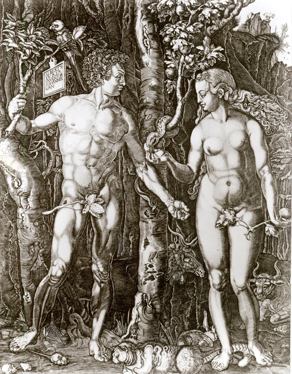 Adam und Eva, nach Albrecht Dürer (1471-1528) von Johann Ladenspelder
