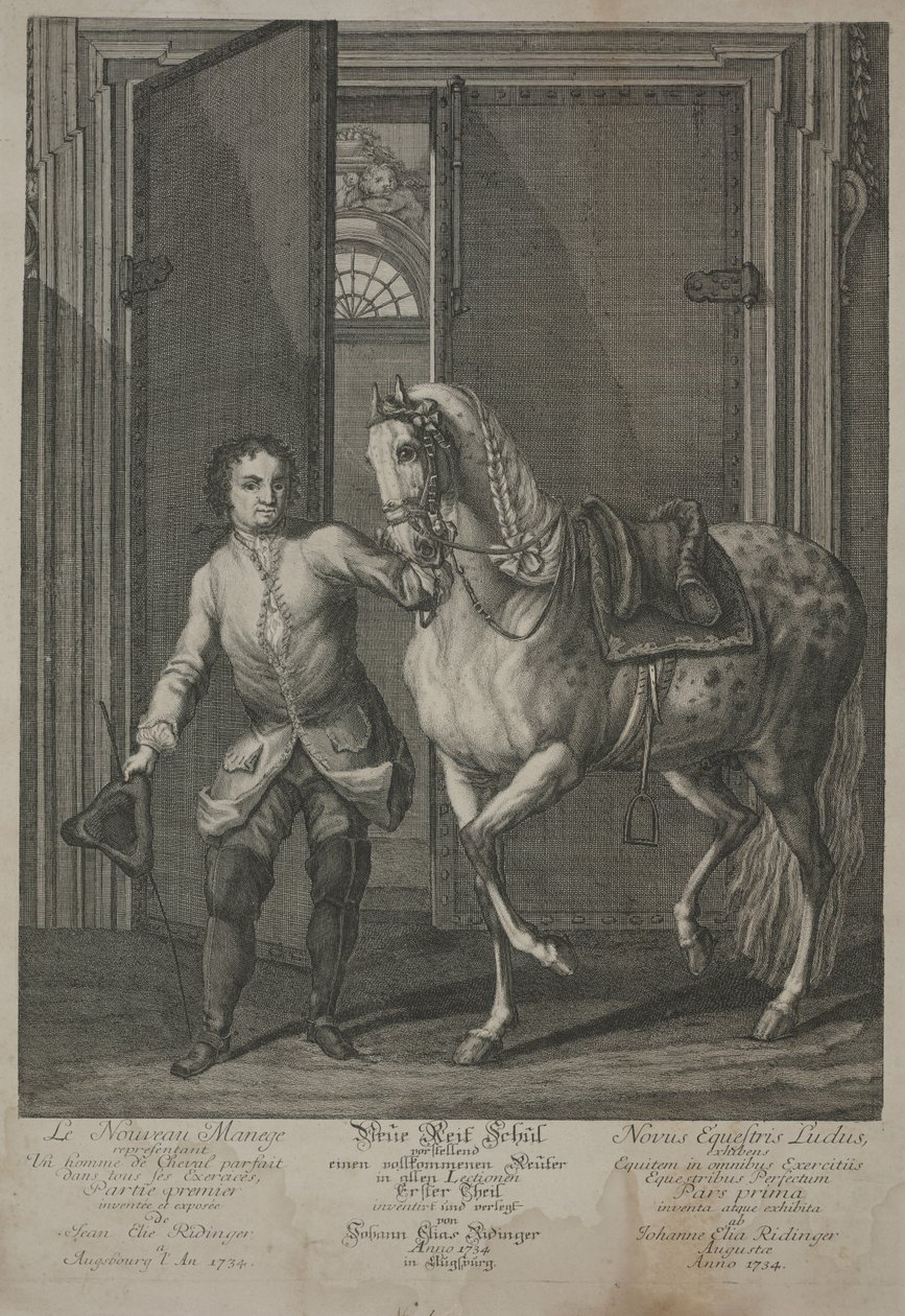 Neue Schule der Reitkunst von Johann Elias Ridinger