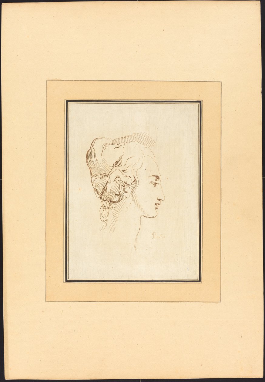 Kopf einer Frau von Johann Gottlieb Prestel after Guercino