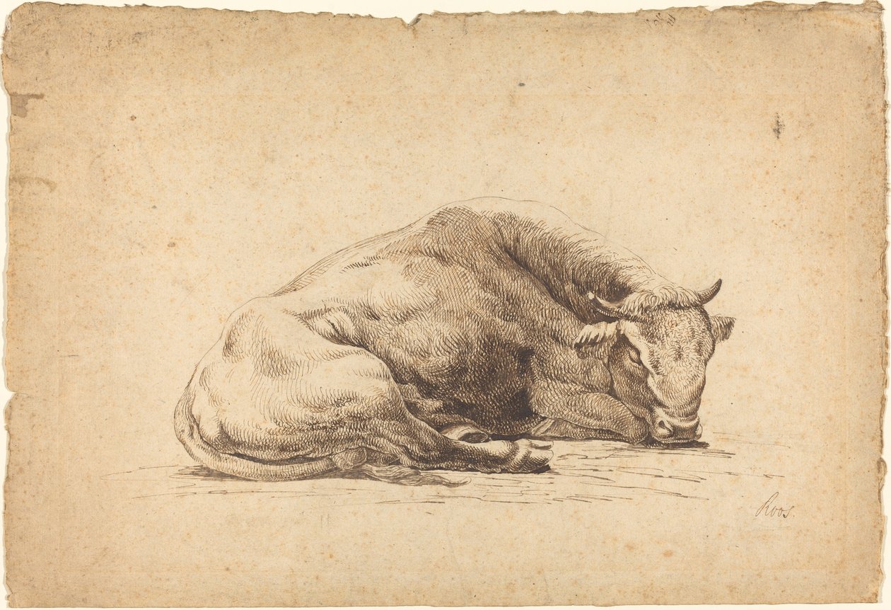 Ein schlafender Stier von Johann Heinrich Roos