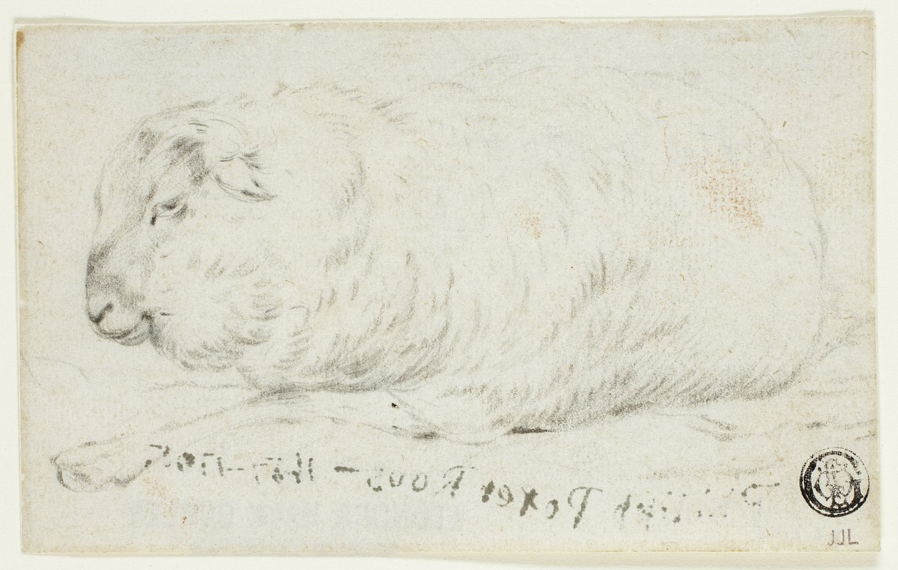Liegendes Schaf von Johann Heinrich Roos