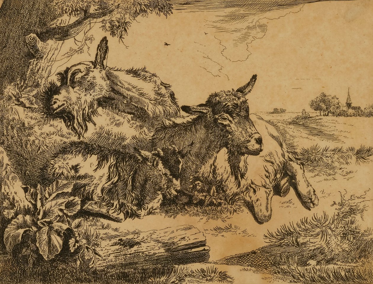Zwei Ziegen und ein Zicklein von Johann Heinrich Roos