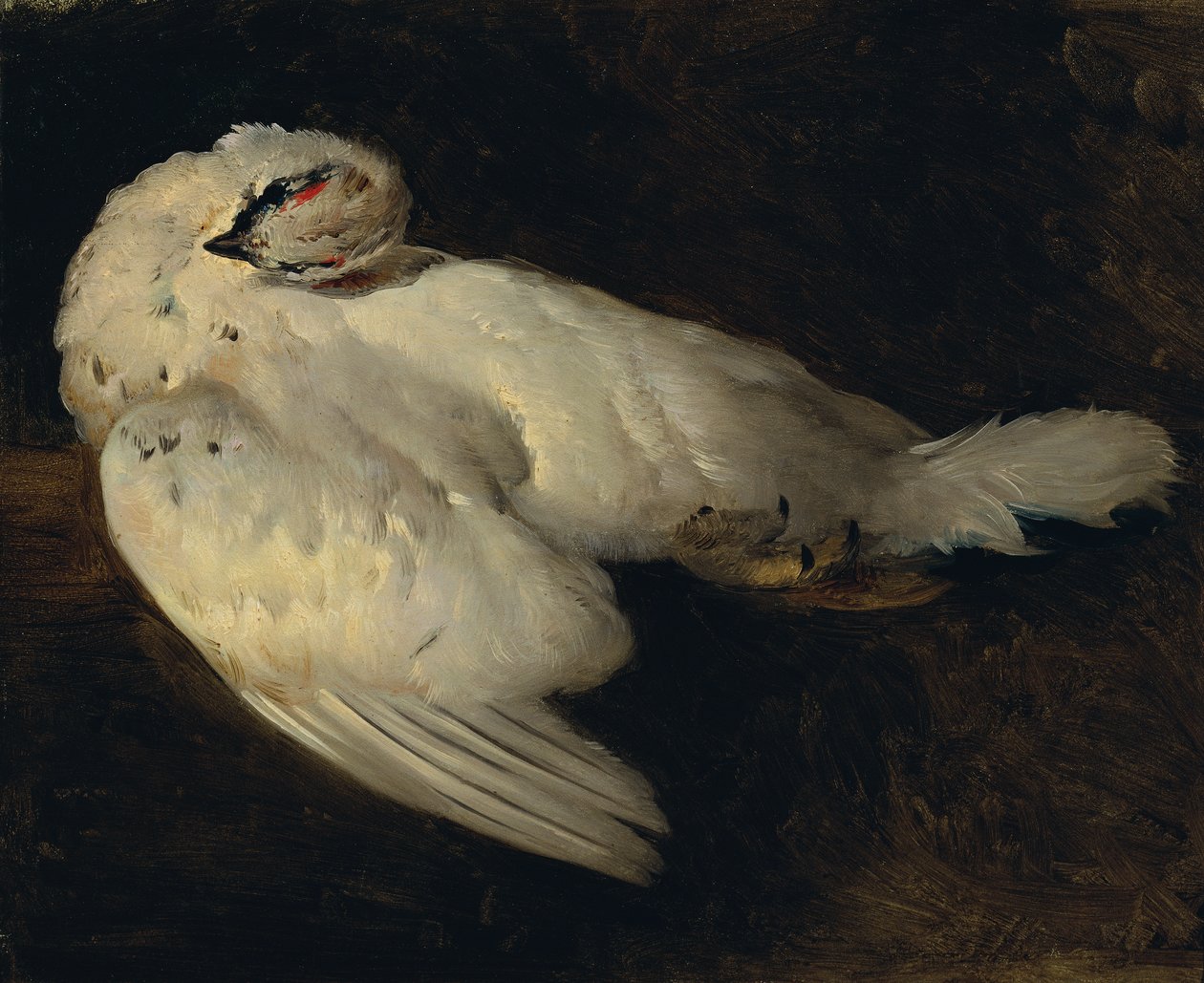Totes Schneehuhn von Johann Matthias Ranftl