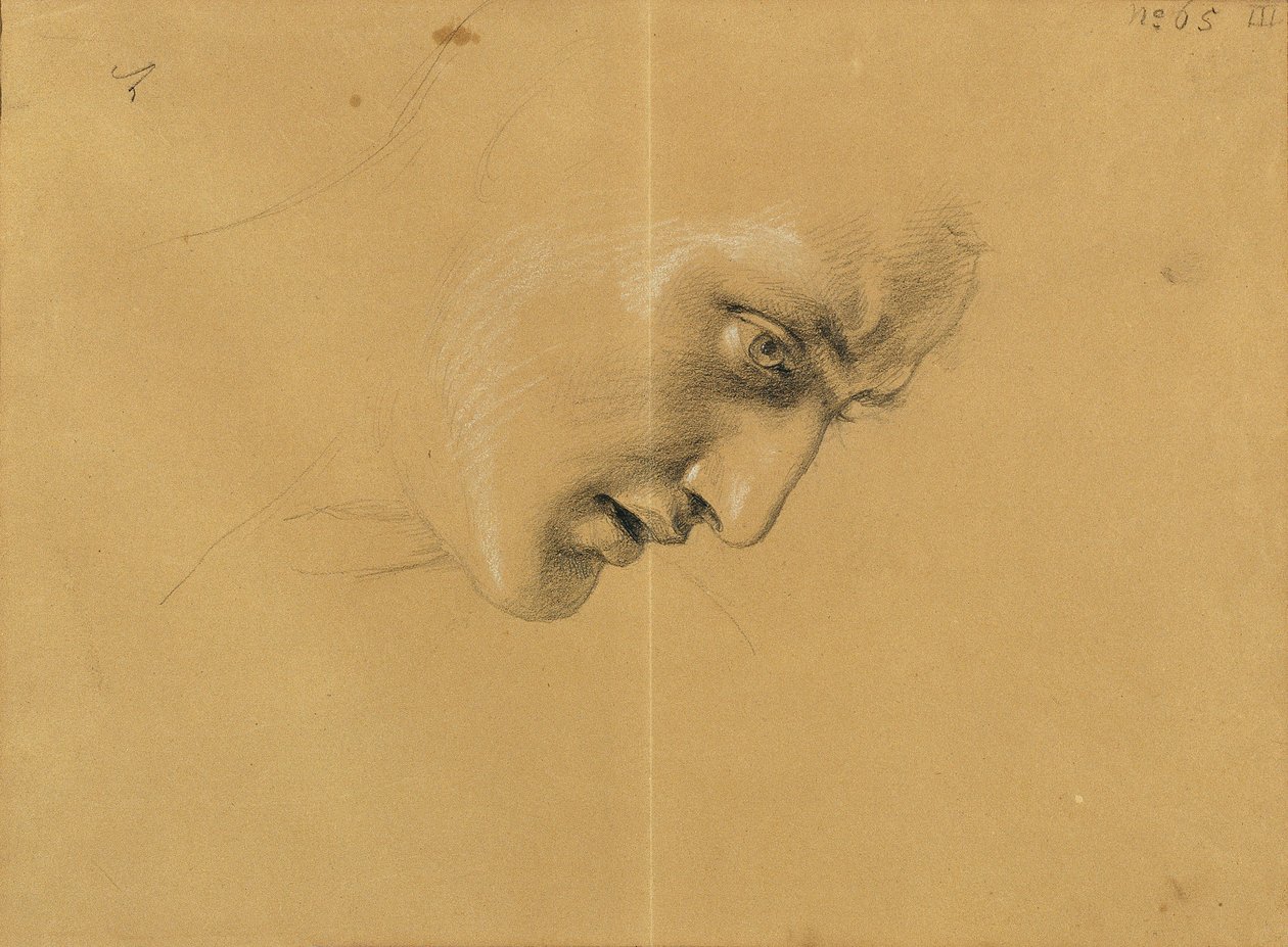 Kopfstudie von Johann Peter Krafft