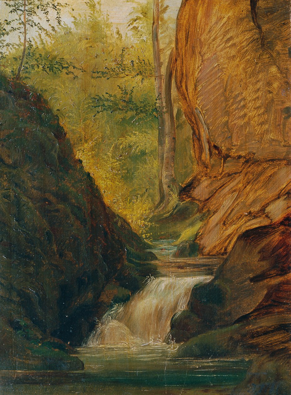 Waldbach von Johann  Till der Jüngere