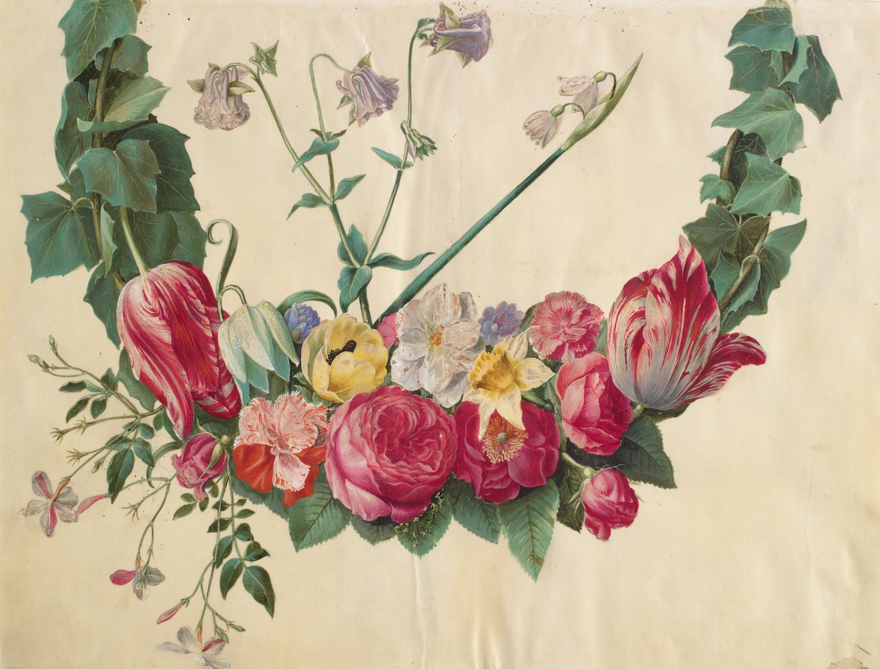 Blumenranke von Johannes Simon Holtzbecher
