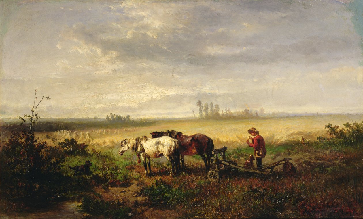 Rast von Johannes Hubertus Leonardus de Haas